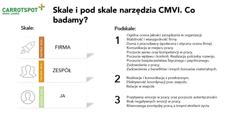 Skale i podskale narzędzi CMVI. Co badamy?